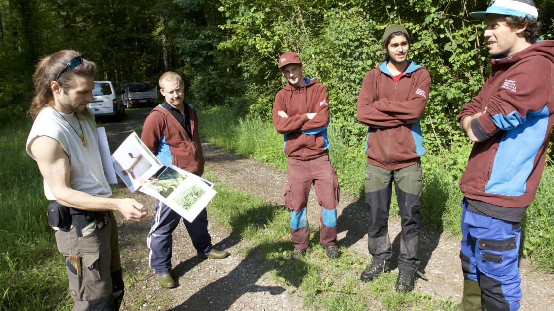 Naturnetz Nordostschweiz