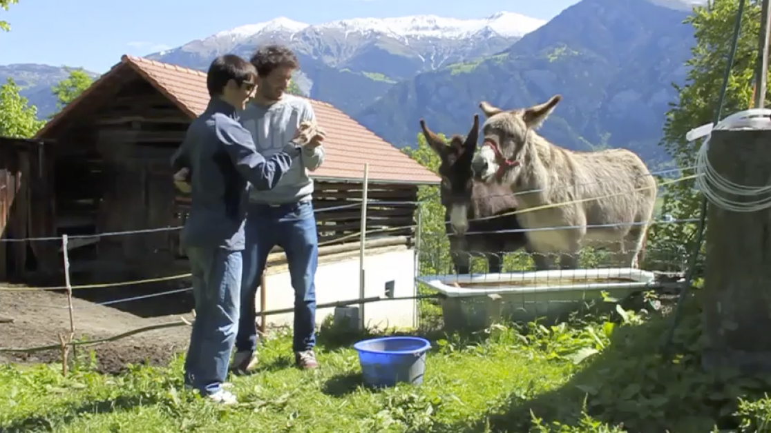 Zivildienst auf Hof Foppa